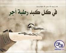 حقوق الحيوان في السنة النبوية المطهرة